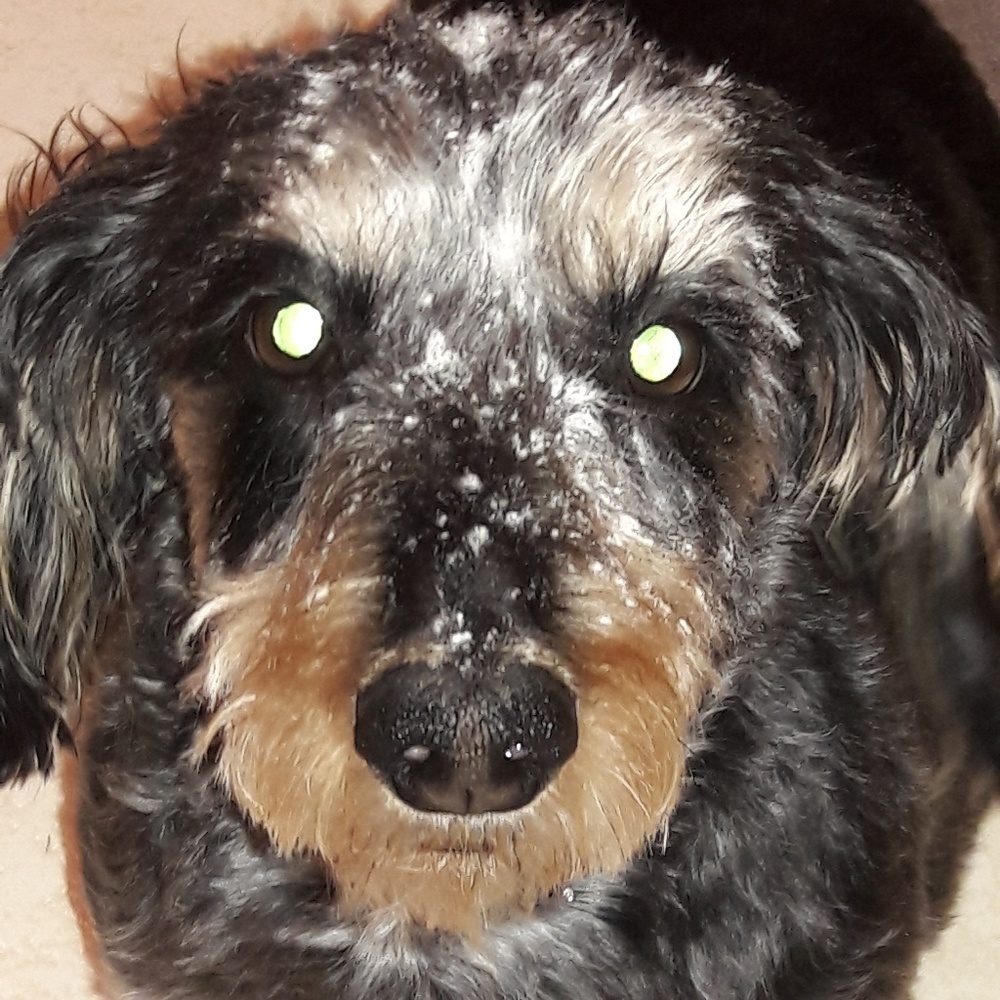 Meet your Posher, Lance